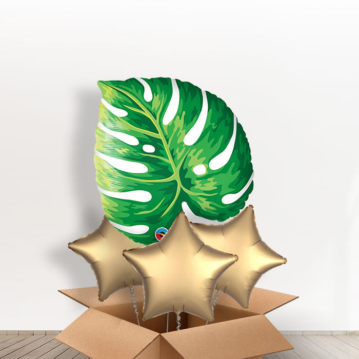 Giant Tropical Leaf Balloons in a Box - With 3 Plain Balloons | Small Indoor Plants