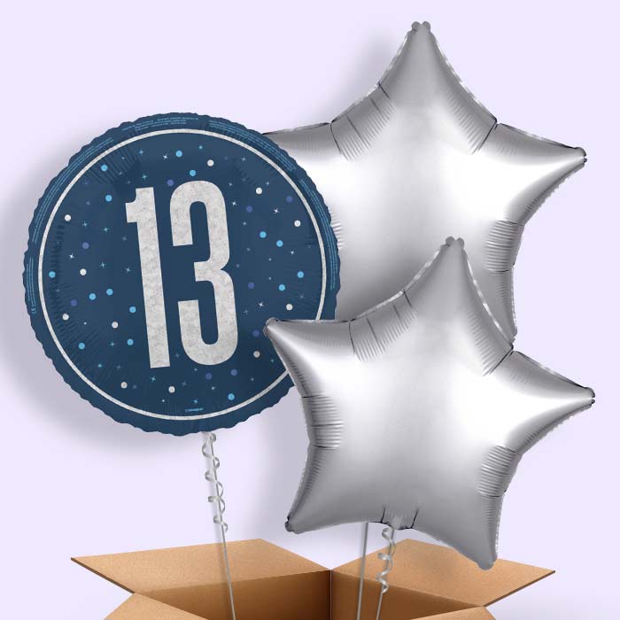 Navy Blue and Silver 13th Birthday Foil Balloon in a Box - 3 Balloon | Small Indoor Plants