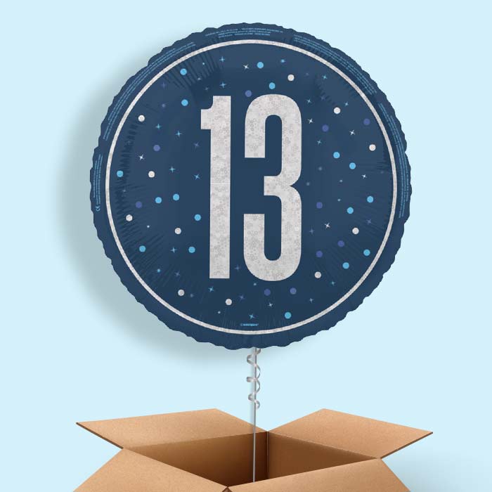 Navy Blue and Silver 13th Birthday Foil Balloon in a Box - 1 Balloon | Small Indoor Plants