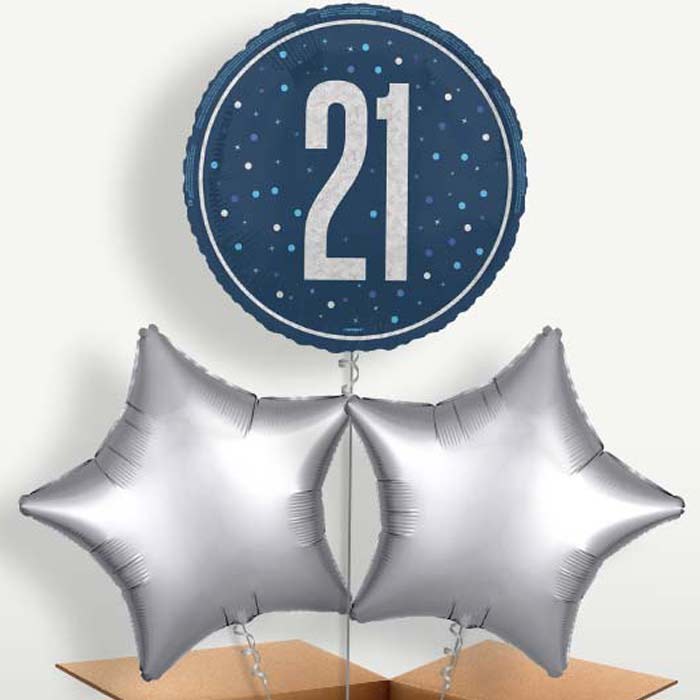 Navy Blue & Silver 21st Birthday Balloon Bunches | Small Indoor Plants