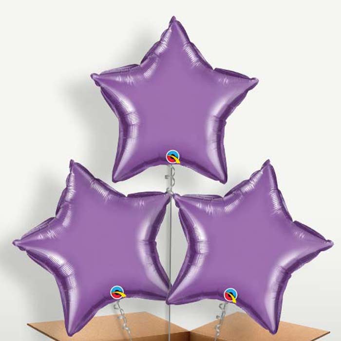 Chrome Purple Star Bunch of Balloons inflated with Helium | Small Indoor Plants