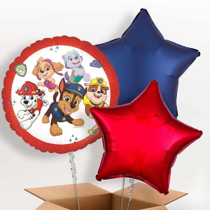 Paw Patrol Ready for Action Foil Balloon in a Box - 3 Balloon | Small Indoor Plants