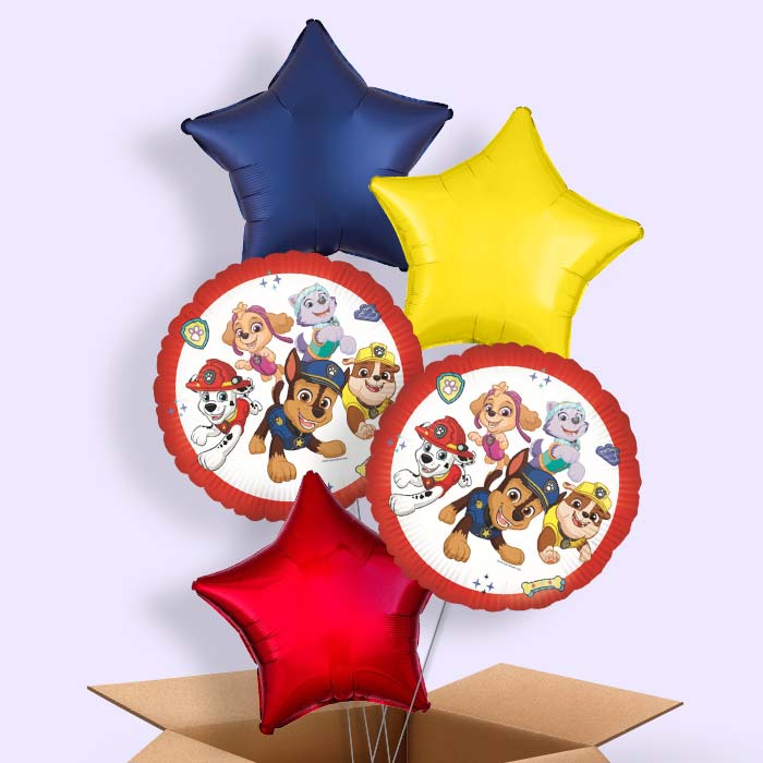 Paw Patrol Ready for Action Foil Balloon in a Box - 5 Balloon | Small Indoor Plants