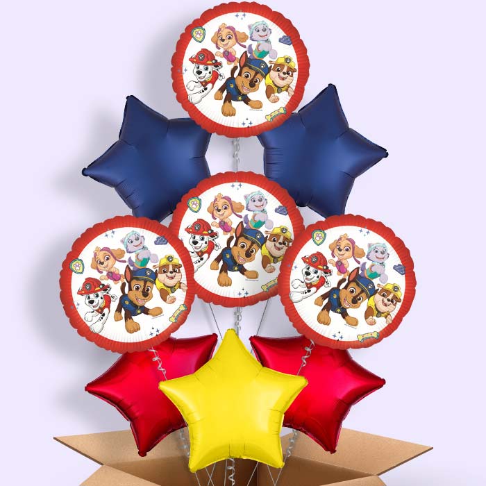 Paw Patrol Ready for Action Foil Balloon in a Box - 9 Balloon | Small Indoor Plants
