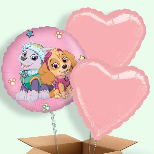 Paw Patrol Skye and Everest Foil Balloon in a Box - 3 Balloon | Small Indoor Plants