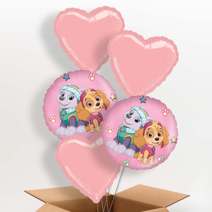 Paw Patrol Skye and Everest Foil Balloon in a Box - 5 Balloon | Small Indoor Plants