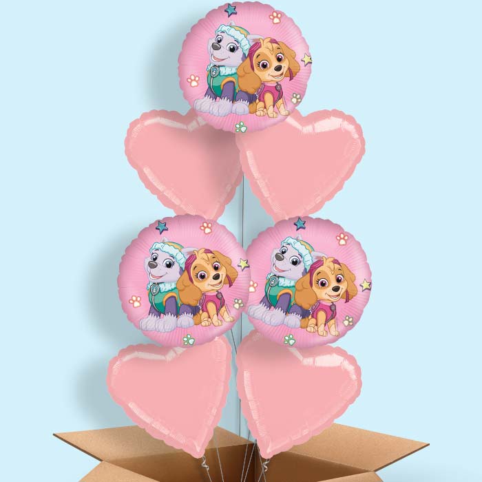 Paw Patrol Skye and Everest Foil Balloon in a Box - 7 Balloon | Small Indoor Plants
