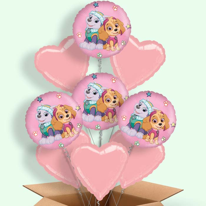 Paw Patrol Skye and Everest Foil Balloon in a Box - 9 Balloon | Small Indoor Plants