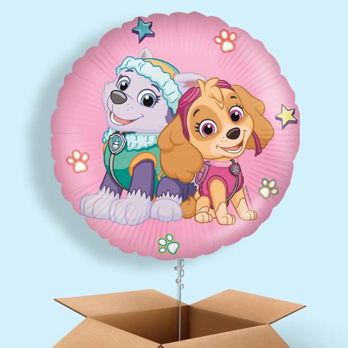 Paw Patrol Skye and Everest Foil Balloon in a Box - 1 Balloon | Small Indoor Plants