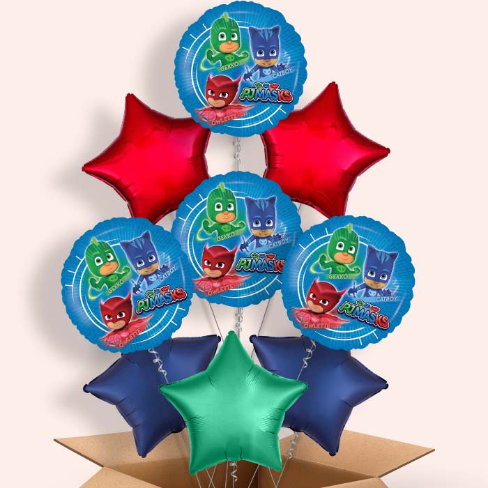 PJ Masks Foil Balloon in a Box - 9 Balloon | Small Indoor Plants