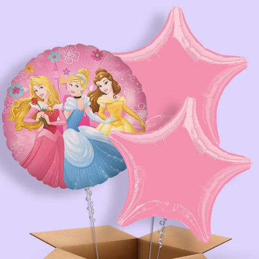 Disney Ariel, Belle and Cinderella Foil Balloon in a Box - 3 Balloon | Small Indoor Plants