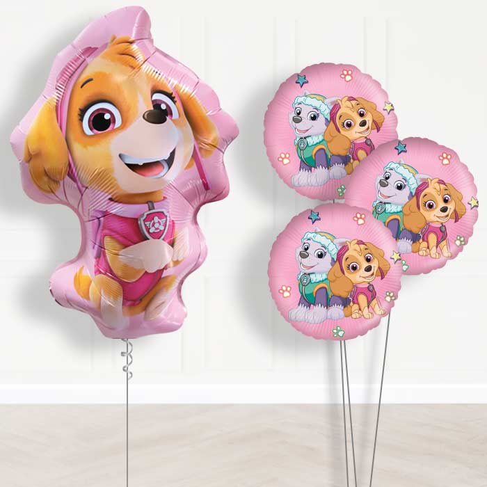 Giant Skye Shaped Balloon Bouquet Delivery - Themed Bouquet | Small Indoor Plants