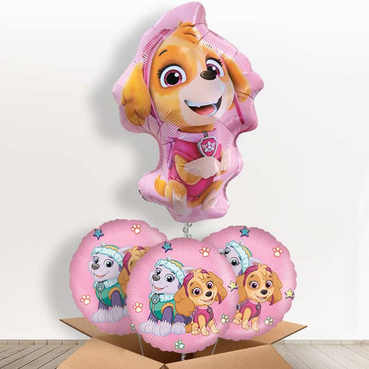 Giant Skye Shaped Foil Balloon in a Box - With 3 Themed Balloons | Small Indoor Plants