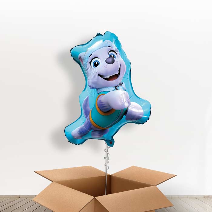 Giant Everest Paw Patrol Foil Balloon in a Box - Giant Balloon | Small Indoor Plants