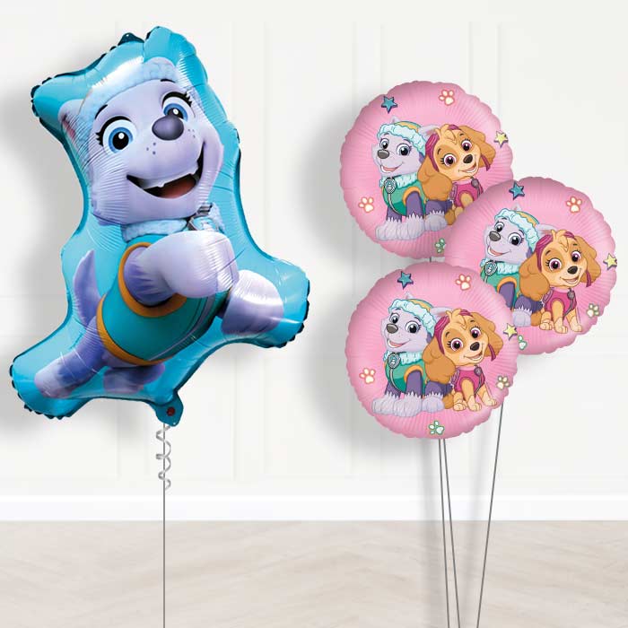 Giant Everest Paw Patrol Balloon Bouquet Delivery - Themed Bouquet | Small Indoor Plants