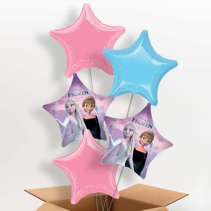 Frozen Wind Spirit Star Foil Balloon in a Box - 5 Balloon | Small Indoor Plants