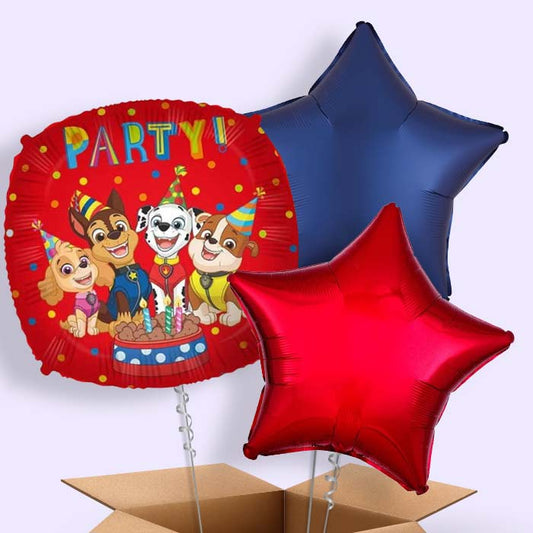Paw Patrol Party! Foil Balloon  in a Box - 3 Balloon | Small Indoor Plants