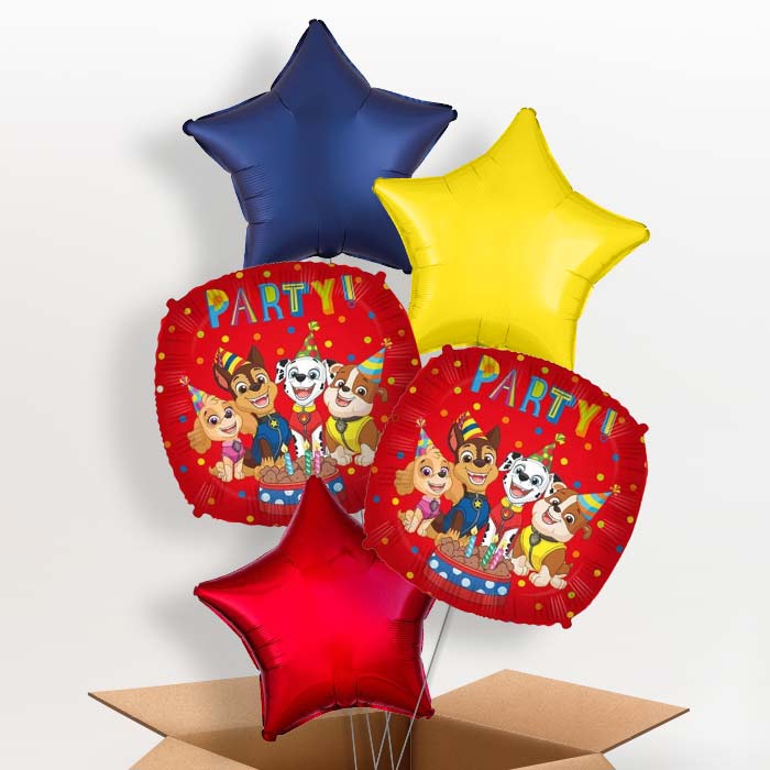 Paw Patrol Party! Foil Balloon  in a Box - 5 Balloon | Small Indoor Plants