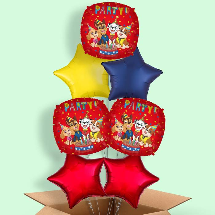 Paw Patrol Party! Foil Balloon  in a Box - 7 Balloon | Small Indoor Plants