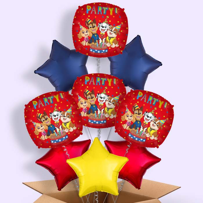 Paw Patrol Party! Foil Balloon  in a Box - 9 Balloon | Small Indoor Plants