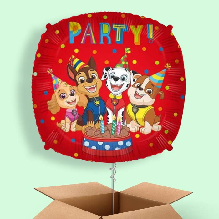 Paw Patrol Party! Foil Balloon  in a Box - 1 Balloon | Small Indoor Plants