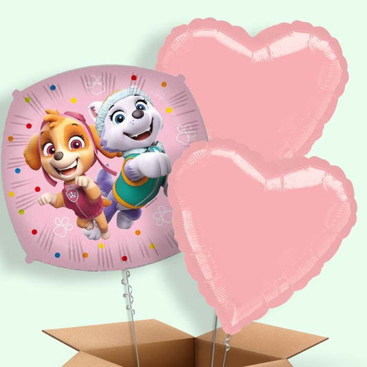 Paw Patrol Everest and Skye Foil Balloon in a Box - 3 Balloon | Small Indoor Plants