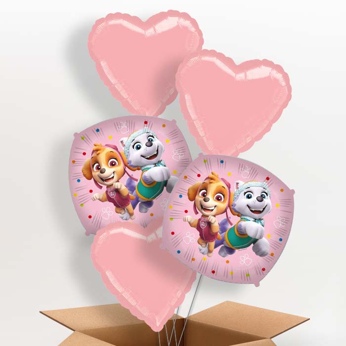 Paw Patrol Everest and Skye Foil Balloon in a Box - 5 Balloon | Small Indoor Plants