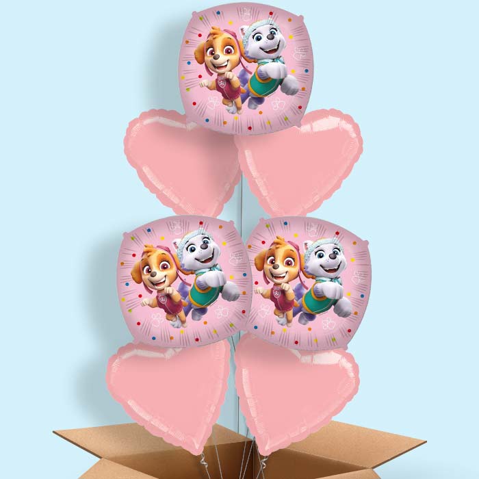 Paw Patrol Everest and Skye Foil Balloon in a Box - 7 Balloon | Small Indoor Plants