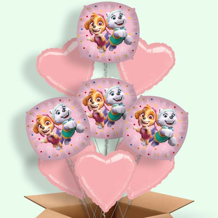 Paw Patrol Everest and Skye Foil Balloon in a Box - 9 Balloon | Small Indoor Plants