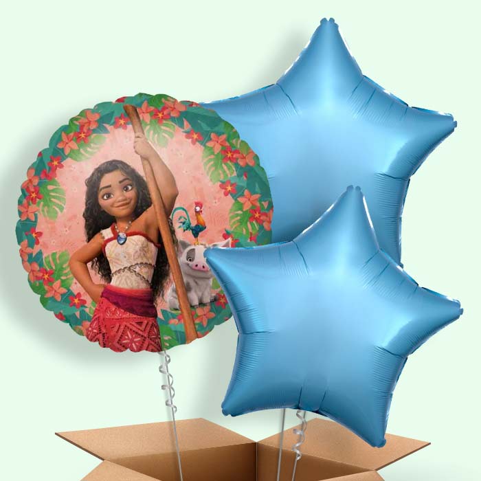 Moana Balloon in a Box - 3 Balloon | Small Indoor Plants
