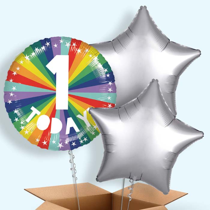 Age 1 1st Birthday Rainbow Foil Balloon in a Box - 3 Balloon | Small Indoor Plants