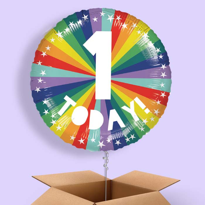 Age 1 1st Birthday Rainbow Foil Balloon in a Box - 1 Balloon | Small Indoor Plants
