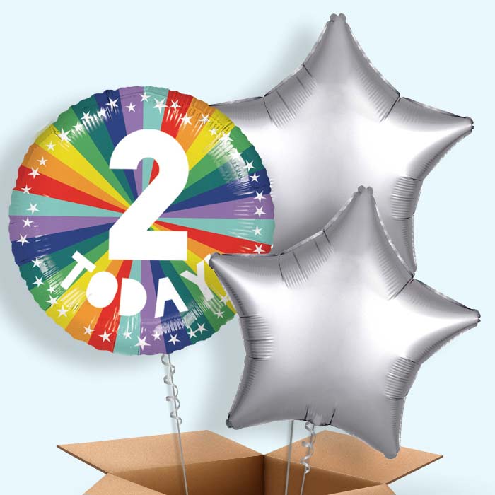 Age 2 2nd Birthday Rainbow Foil Balloon in a Box - 3 Balloon | Small Indoor Plants