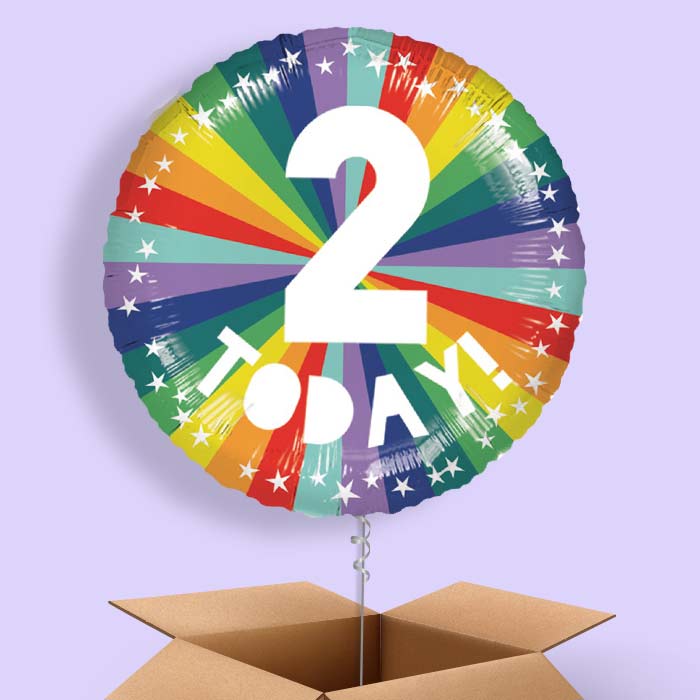 Age 2 2nd Birthday Rainbow Foil Balloon in a Box - 1 Balloon | Small Indoor Plants