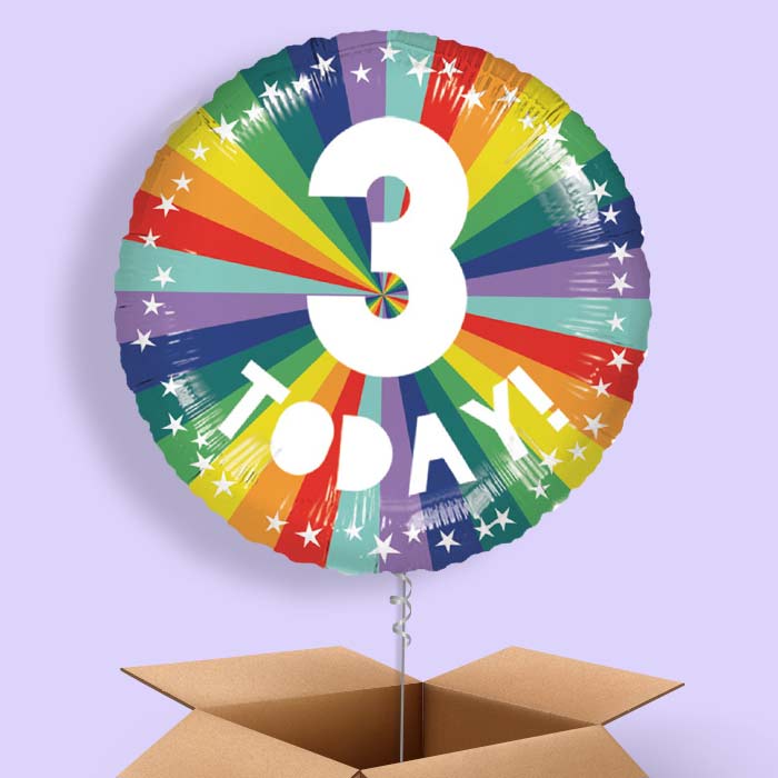 Age 3 3rd Birthday Rainbow Foil Balloon in a Box - 1 Balloon | Small Indoor Plants