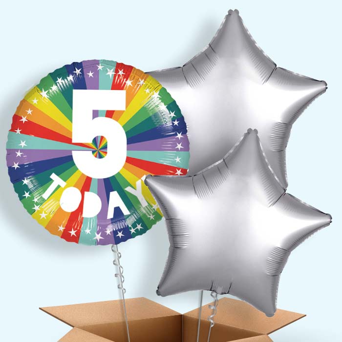 Age 5 5th Birthday Rainbow Foil Balloon in a Box - 3 Balloon | Small Indoor Plants