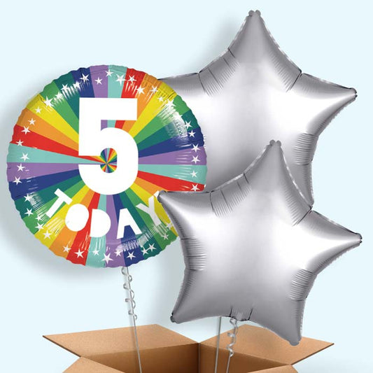 Age 5 5th Birthday Rainbow Foil Balloon in a Box - 3 Balloon | Small Indoor Plants