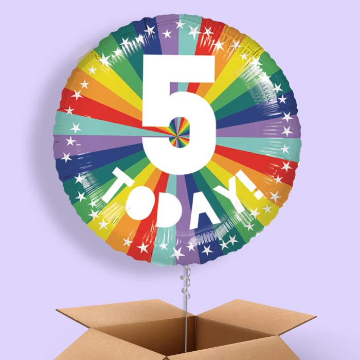 Age 5 5th Birthday Rainbow Foil Balloon in a Box - 1 Balloon | Small Indoor Plants