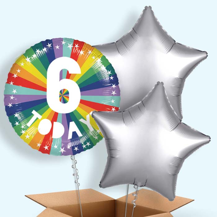 Age 6 6th Birthday Rainbow Foil Balloon in a Box - 3 Balloon | Small Indoor Plants