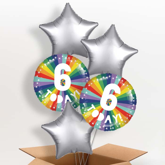 Age 6 6th Birthday Rainbow Foil Balloon in a Box - 5 Balloon | Small Indoor Plants