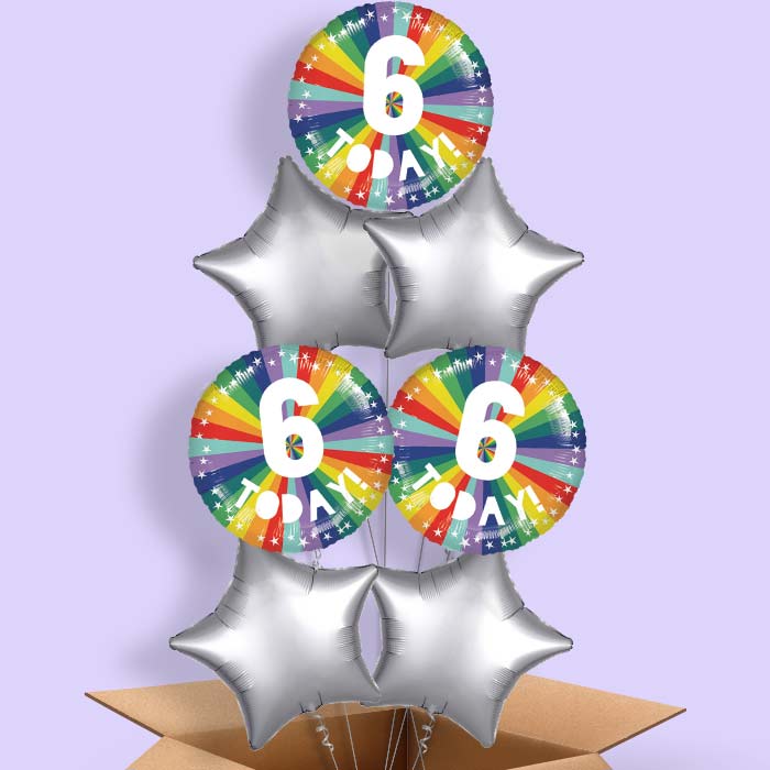 Age 6 6th Birthday Rainbow Foil Balloon in a Box - 7 Balloon | Small Indoor Plants