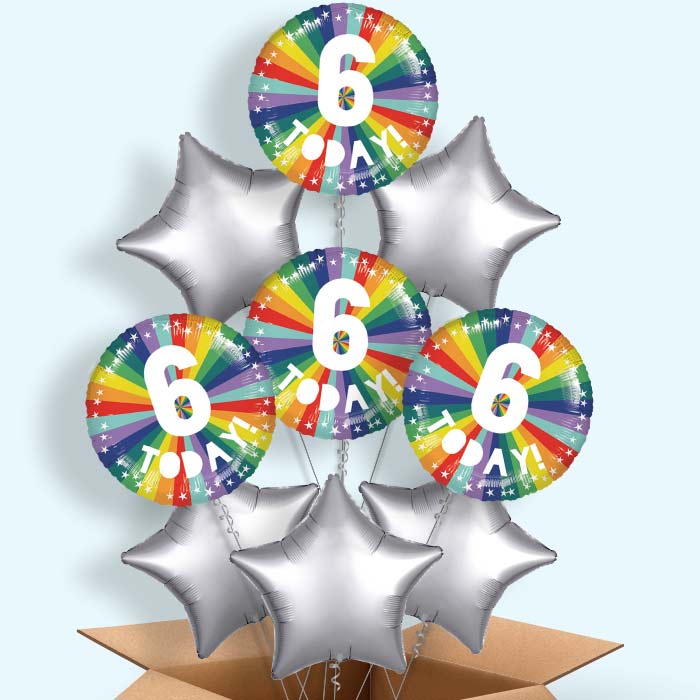 Age 6 6th Birthday Rainbow Foil Balloon in a Box - 9 Balloon | Small Indoor Plants