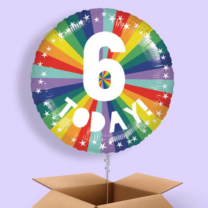 Age 6 6th Birthday Rainbow Foil Balloon in a Box - 1 Balloon | Small Indoor Plants