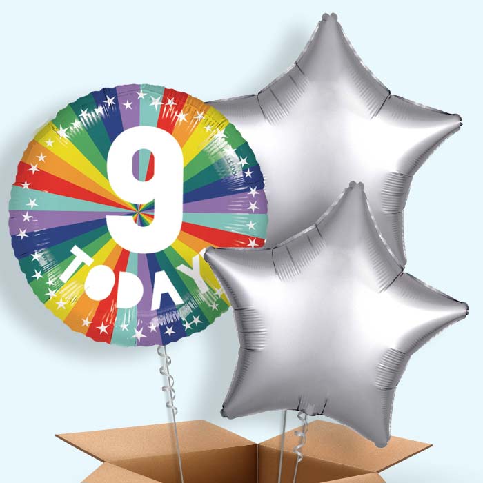 Age 9 9th Birthday Rainbow Foil Balloon in a Box - 3 Balloon | Small Indoor Plants