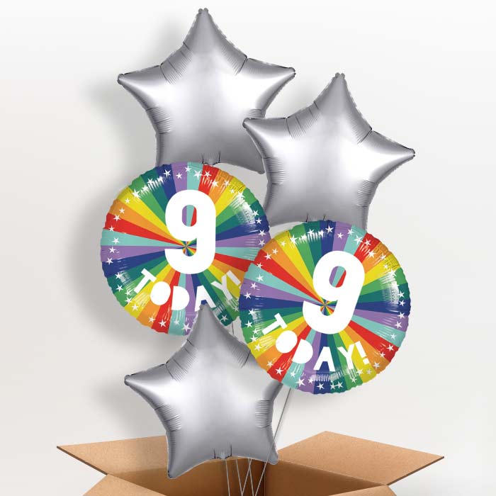 Age 9 9th Birthday Rainbow Foil Balloon in a Box - 5 Balloon | Small Indoor Plants