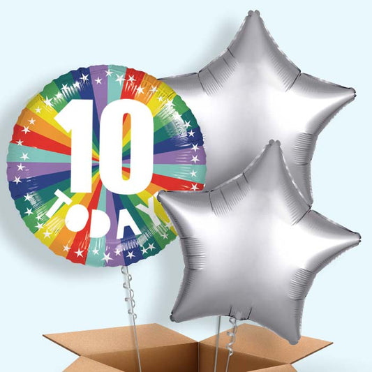 Age 10 10th Birthday Rainbow Foil Balloon in a Box - 3 Balloon | Small Indoor Plants