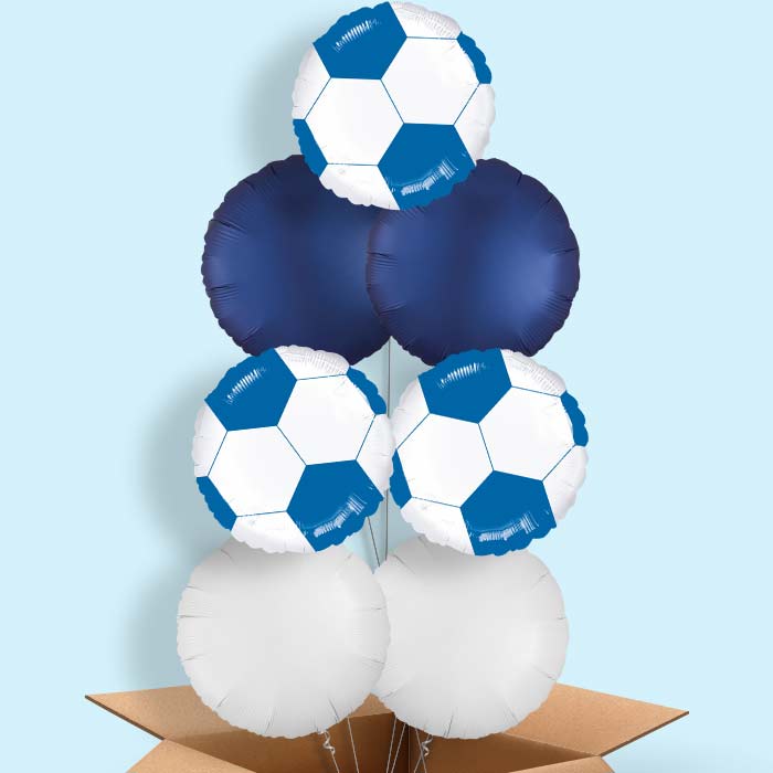 Blue Football Balloon in a Box - 7 Balloon | Small Indoor Plants