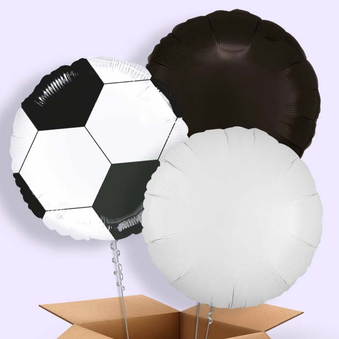 Black Football Balloon in a Box - 3 Balloon | Small Indoor Plants