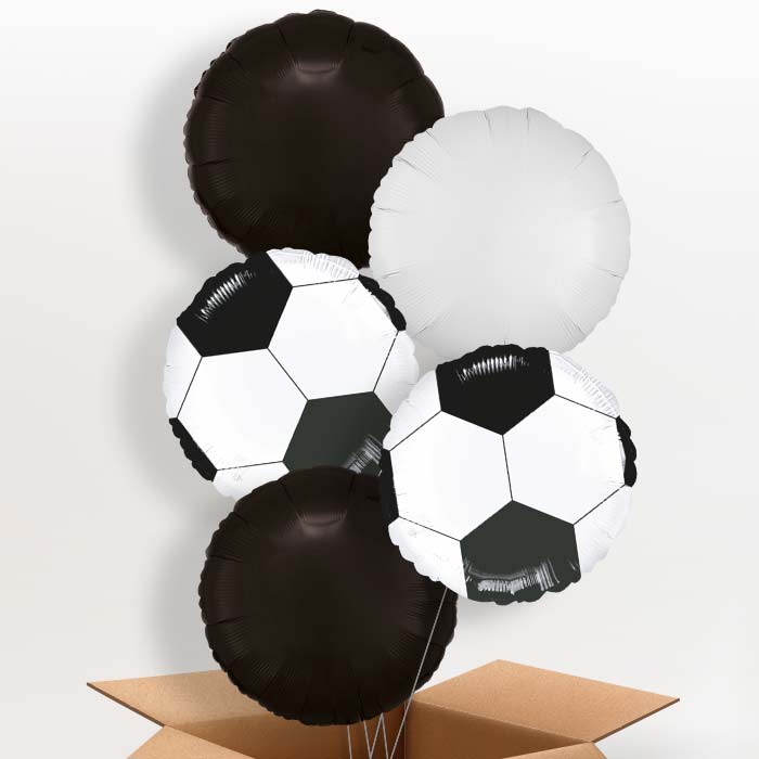 Black Football Balloon in a Box - 5 Balloon | Small Indoor Plants