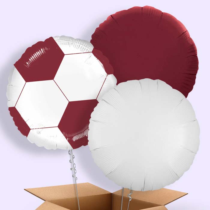 Maroon Football Balloon in a Box - 3 Balloon | Small Indoor Plants